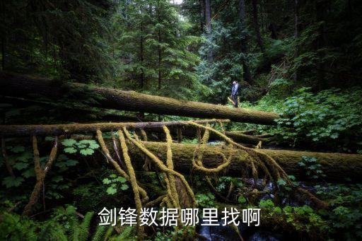 劍鋒數(shù)據(jù)哪里找啊