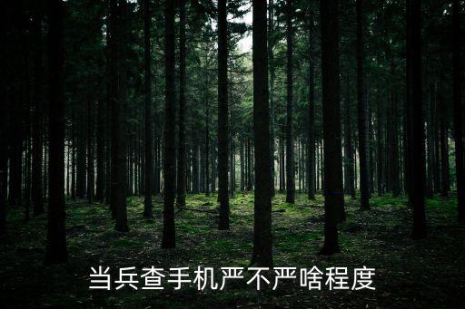 部隊(duì)手機(jī)管理，當(dāng)兵查手機(jī)嚴(yán)不嚴(yán)啥程度