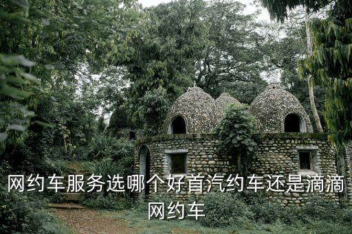 網(wǎng)約，網(wǎng)約車是什么意思