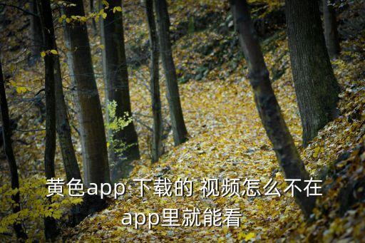 黃色視頻怎么下載