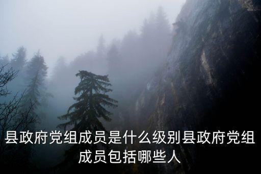正國級有哪些人，縣政府黨組成員是什么級別縣政府黨組成員包括哪些人