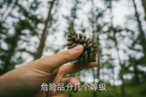 危險(xiǎn)品