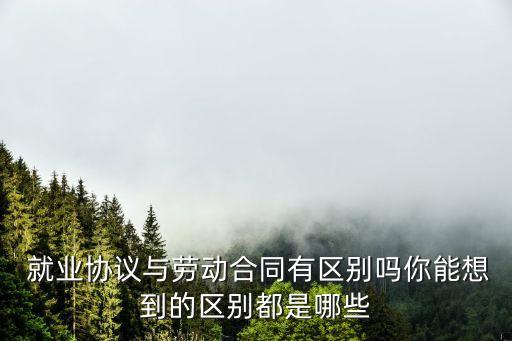 就業(yè)協(xié)議書的法律效力,勞動協(xié)議書有法律效力嗎