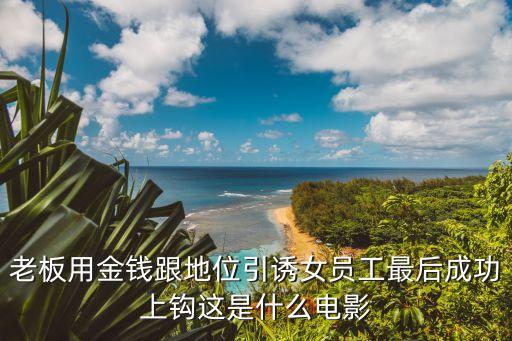 女員工的誘惑，老板用金錢跟地位引誘女員工最后成功上鉤這是什么電影