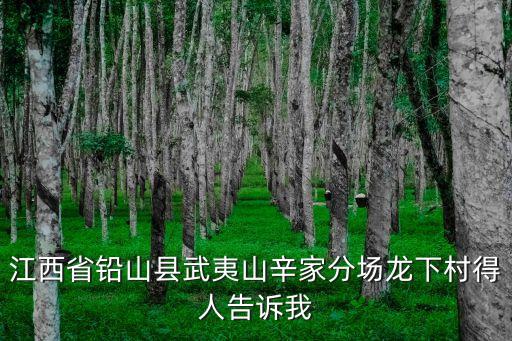 江西省鉛山縣武夷山辛家分場龍下村得人告訴我
