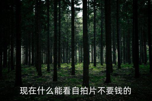 現(xiàn)在什么能看自拍片不要錢(qián)的