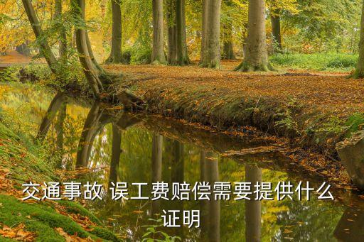 誤工費(fèi)需要哪四件證明,車禍后受傷者該怎樣尋求賠償