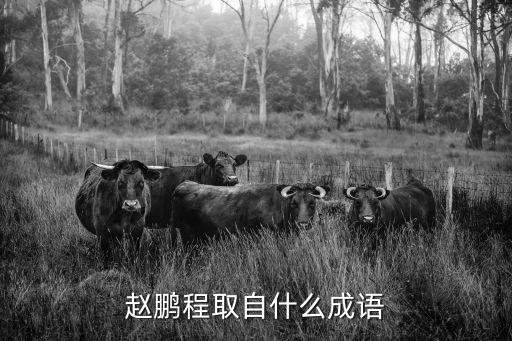 趙鵬程取自什么成語