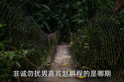 非誠勿擾男嘉賓趙鵬程的是哪期
