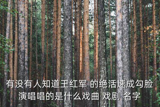 王紅軍，有沒有人知道王紅軍 的絕活速成勾臉演唱唱的是什么戲曲 戲劇 名字