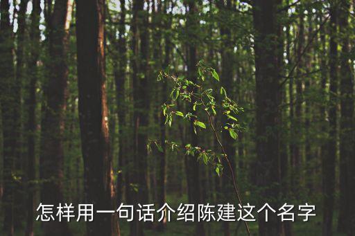 陳建，堅(jiān)守承諾的陳建身上有什么精神