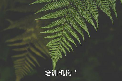 培訓(xùn)機(jī)構(gòu) *