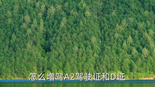 增駕d照，c1駕駛證怎樣增駕d證