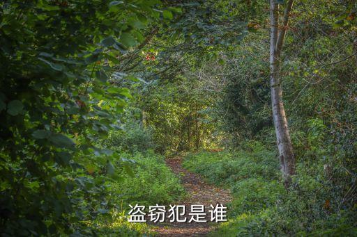 盜竊犯是誰