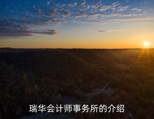 瑞華會(huì)計(jì)師事務(wù)所，瑞華會(huì)計(jì)師事務(wù)所的介紹