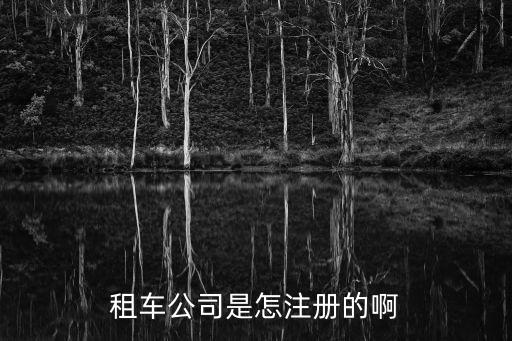 租車公司是怎注冊(cè)的啊