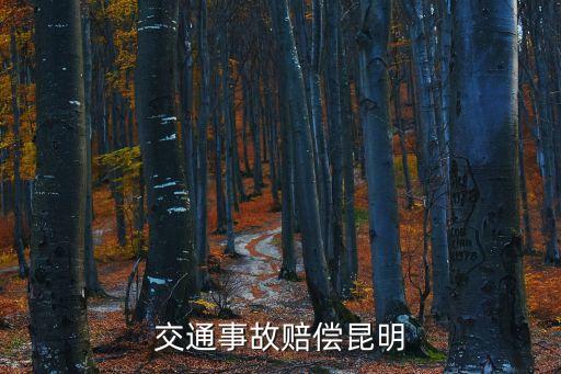 交通事故賠償，交通事故賠償標(biāo)準(zhǔn)及賠償比例