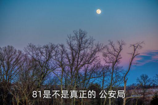 81是不是真正的 公安局