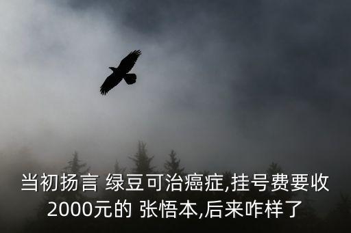 張悟本綠豆事件,綠豆養(yǎng)生專(zhuān)家張悟本