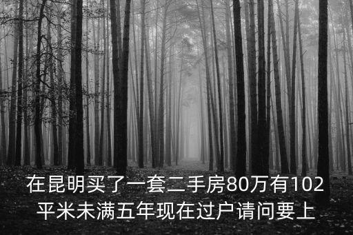在昆明買了一套二手房80萬有102平米未滿五年現(xiàn)在過戶請問要上
