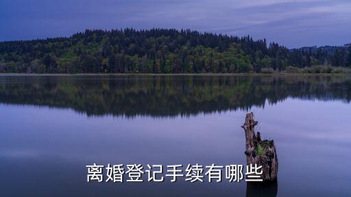 離婚登記手續(xù)有哪些