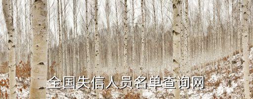 中國失信執(zhí)行網(wǎng)，怎樣查詢被失信人名單