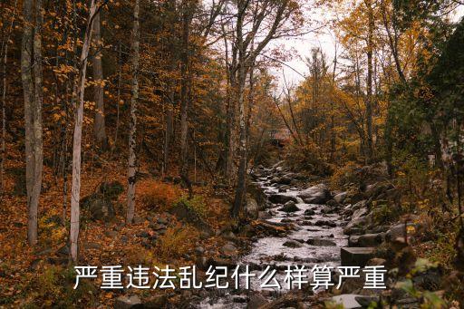 嚴(yán)重違紀(jì)，嚴(yán)重違法亂紀(jì)什么樣算嚴(yán)重