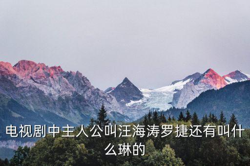汪海濤，電視劇中主人公叫汪海濤羅捷還有叫什么琳的