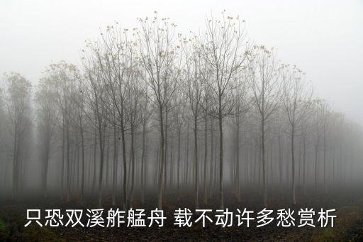 只恐雙溪舴艋舟 載不動許多愁賞析