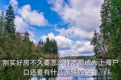 落戶上海，怎樣在上海落戶