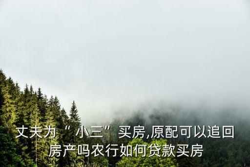 贈(zèng)給小三的房產(chǎn)被抵押如何要回