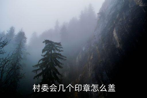  村委會幾個印章怎么蓋