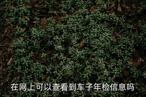 車輛年審時間查詢，機動車年審日期怎么查詢