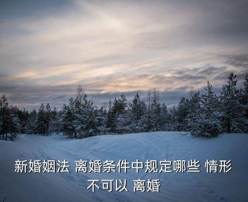 離婚協(xié)議無效的五種情形,離婚律師咨詢免費24小時在線附近