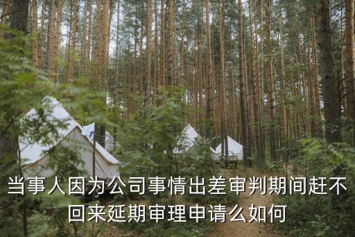 延期開庭申請(qǐng)書，延期開庭申請(qǐng)書格式