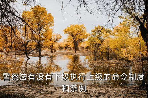 警察法有沒有下級(jí)執(zhí)行上級(jí)的命令制度和條例