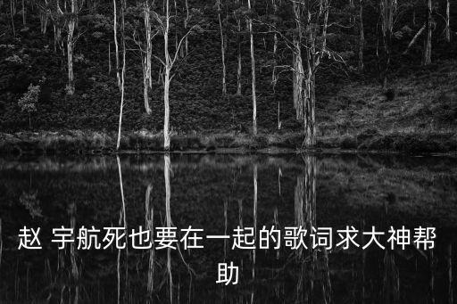 趙宇航