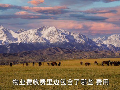  物業(yè)費收費里邊包含了哪些 費用