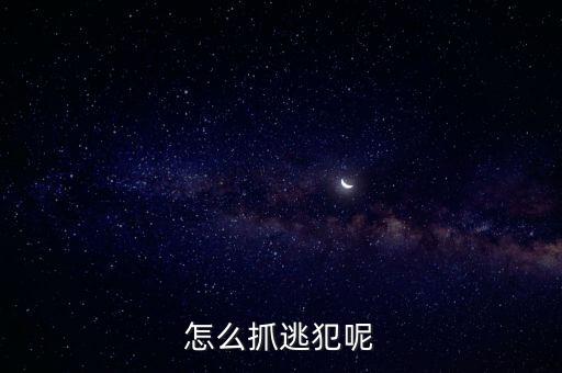 怎么抓逃犯呢