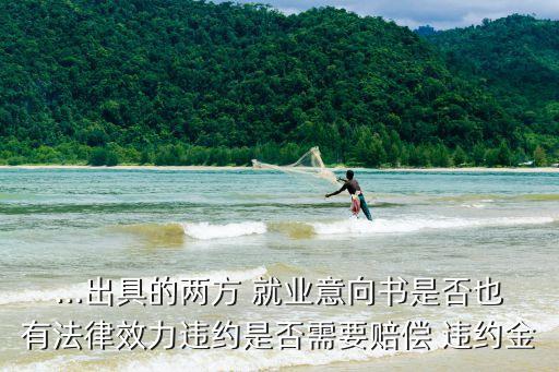 ...出具的兩方 就業(yè)意向書是否也有法律效力違約是否需要賠償 違約金