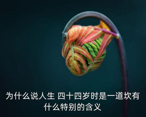 四十四