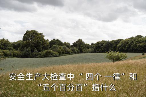 安全生產(chǎn)大檢查中“ 四個(gè) 一律”和“五個(gè)百分百”指什么