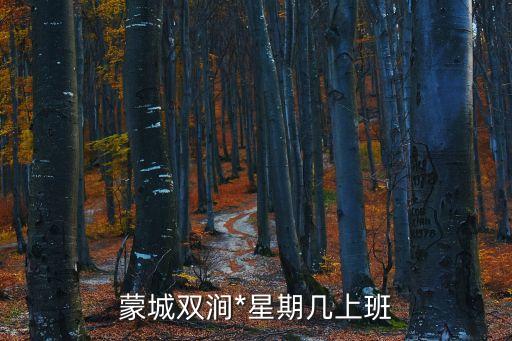 蒙城縣人民*，蒙城縣人民*城南法庭聯(lián)系電話
