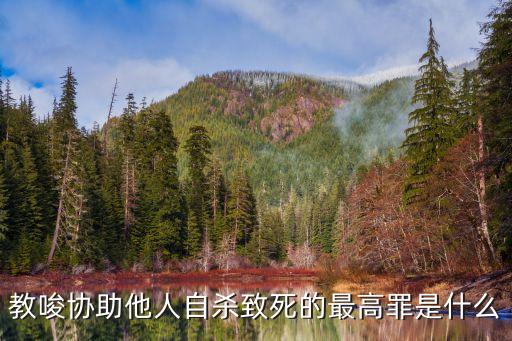 教唆他人自殺，教唆協(xié)助他人自殺致死的最高罪是什么