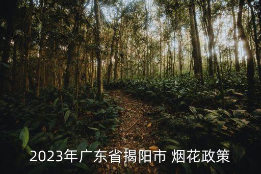 2023年廣東省揭陽(yáng)市 煙花政策