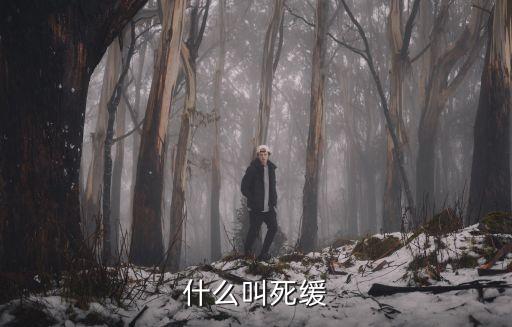 死緩什么意思，什么叫死緩