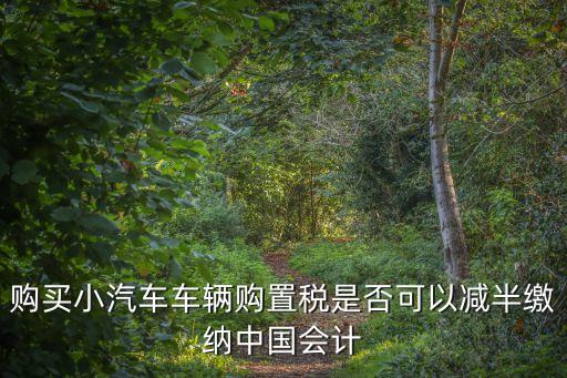 購買小汽車車輛購置稅是否可以減半繳納中國會計