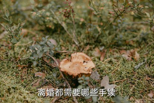 離婚的手續(xù)，離婚都需要哪些手續(xù)