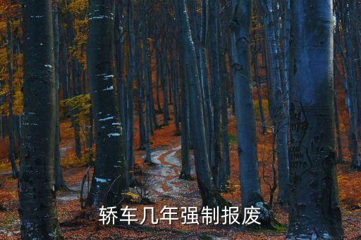 轎車幾年強制報廢
