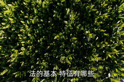 法的基本 特征有哪些